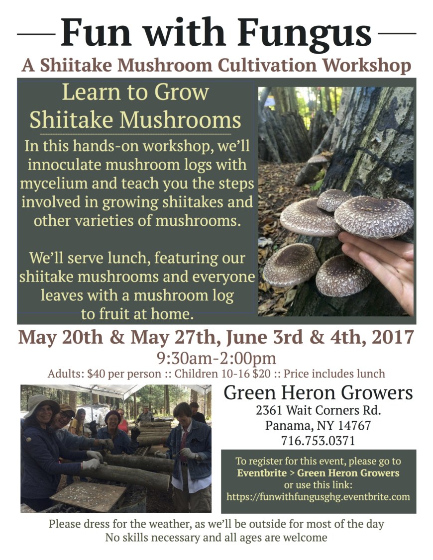 Fun with Fungus: A Shiitake Mushroom Cultivation Workshop – The Heron