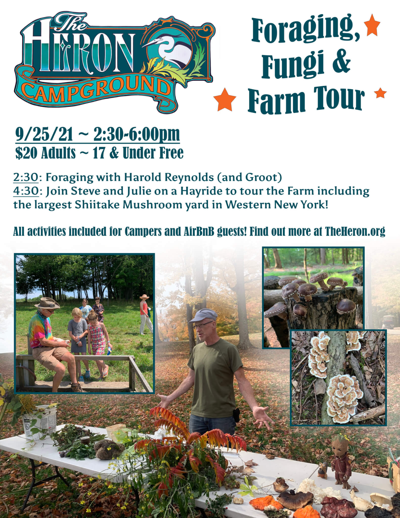 Heron Programming Foraging, Fungi and Farm Tour