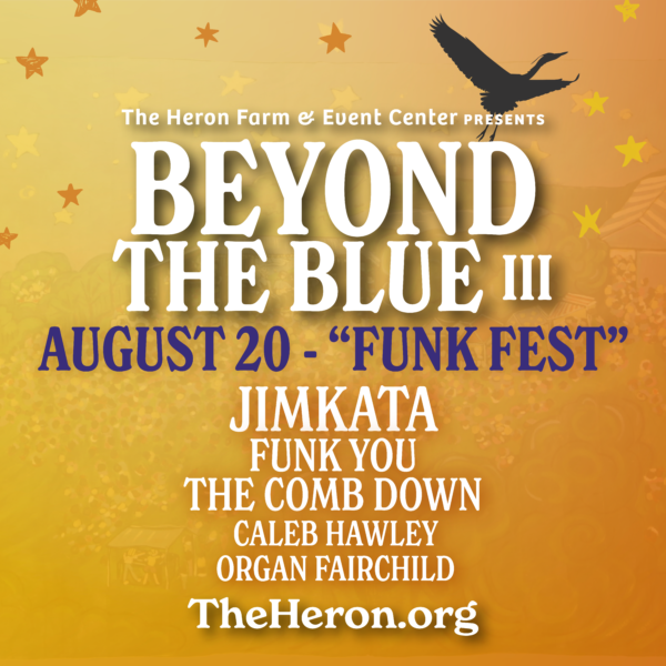 Beyond the Blue 3 line up