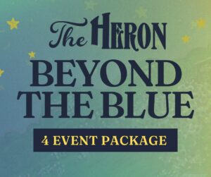 4 ticket package for Beyond The Blue