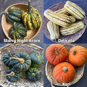 Organic Winter Squash: Starry Night Acorn, Delicata, Kabocha, Kuri