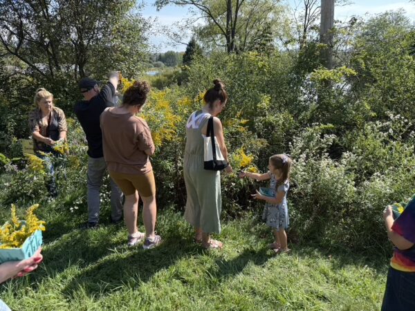 92EB8BAC-C2CA-48AF-A6E4-5EC0E601AC03_1_105_c